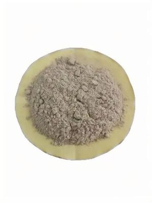 廃水 処理 用 の 先進 的 な 微生物 細菌