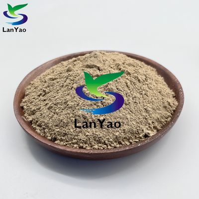 環境保護 微生物 下水処理 生物細菌 泥を除去する 茶色の粉末