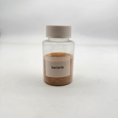 無毒 環境に優しい水処理 生物細菌 高濃度 有機汚染物質削減