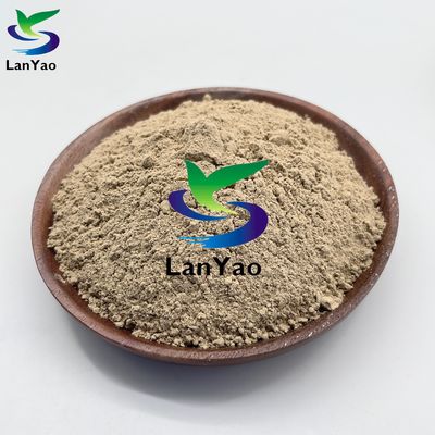 生物化学的水浄化のための生物細菌